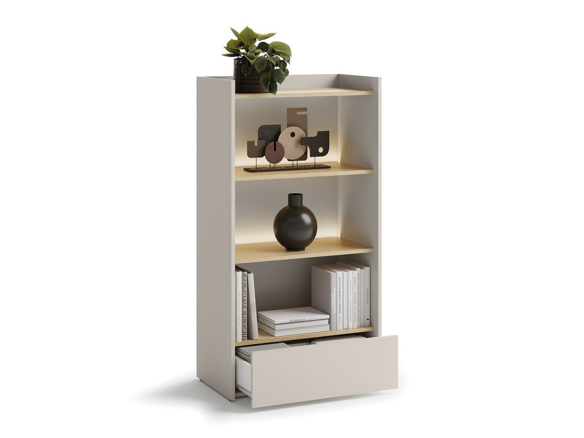 Bookcase 558951