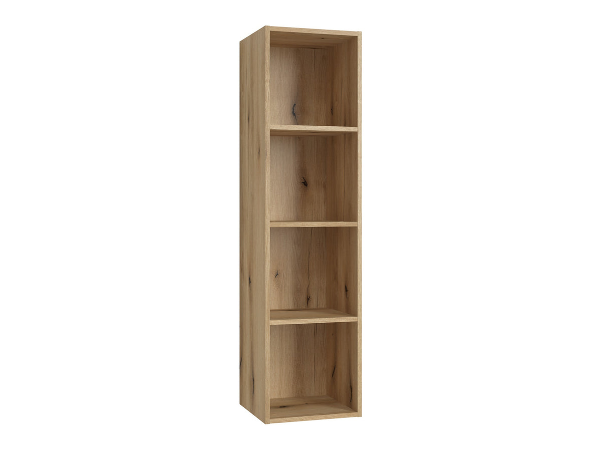 Bookcase 598302