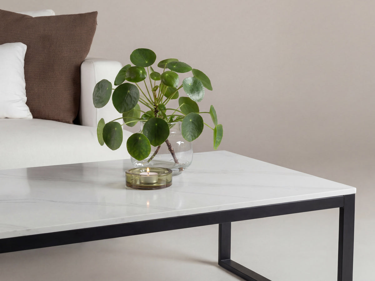 Coffee table 681457