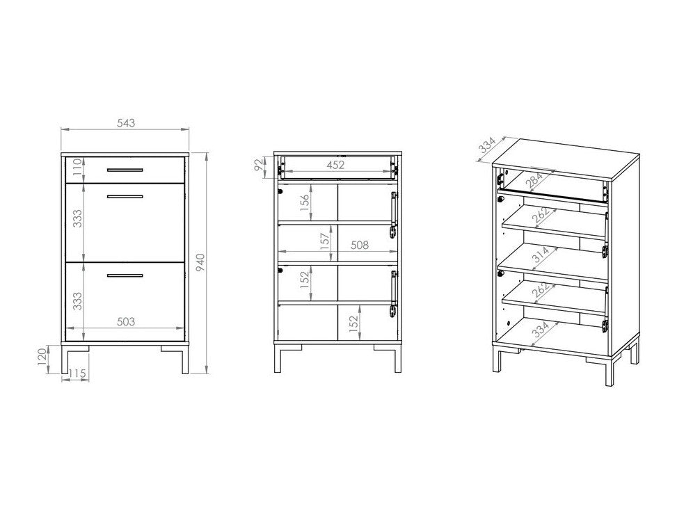Shoe cabinet 308707