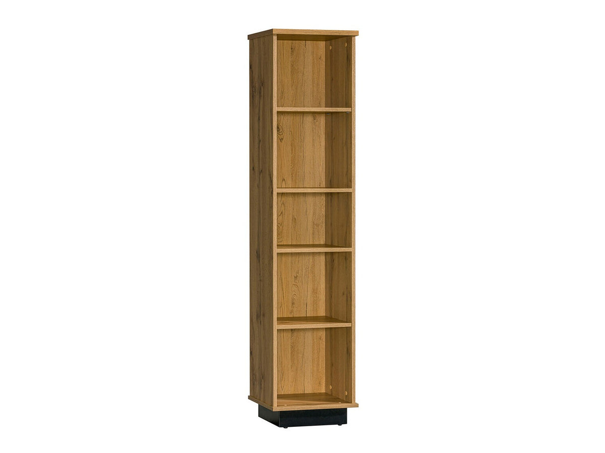 Bookcase 447305