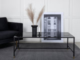 Coffee table 243175