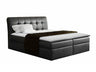 Continental bed 66353