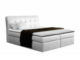 Continental bed 66353