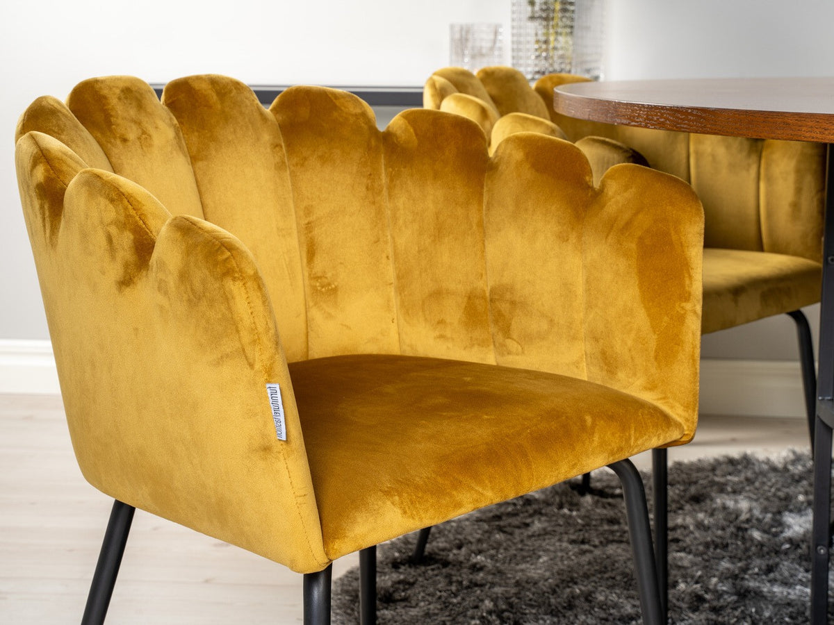 Dining set 249220