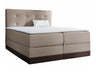 Continental bed 233823