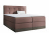 Continental bed 233823