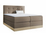 Continental bed 233823