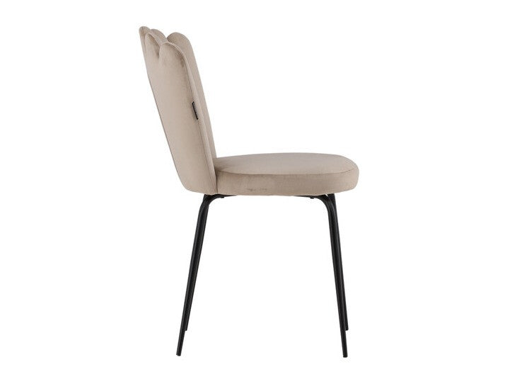 Chair 242322