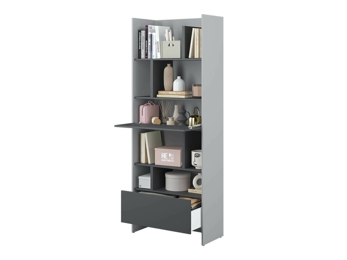 Bookcase 491286