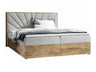 Continental bed 495530