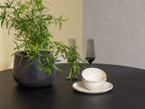 Dining set 498200