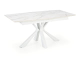 Table 509537