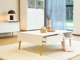 Coffee table 500576