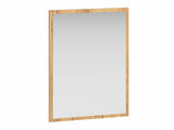 Mirror 551105