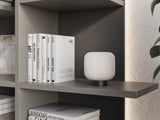 Bookcase 556956