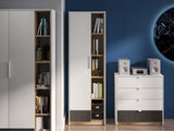Bookcase 564626