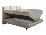 Continental bed 501441
