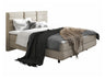 Continental bed 501441