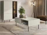 Coffee table 592161