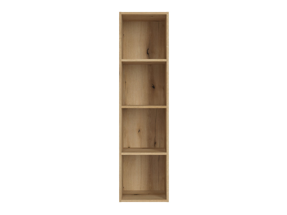 Bookcase 598302