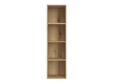 Bookcase 598302