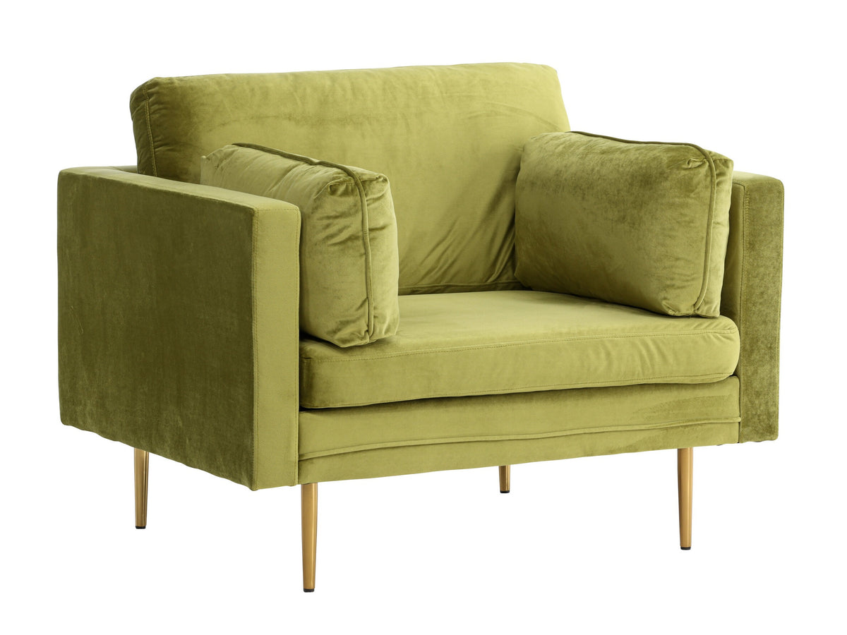 Armchair 209850