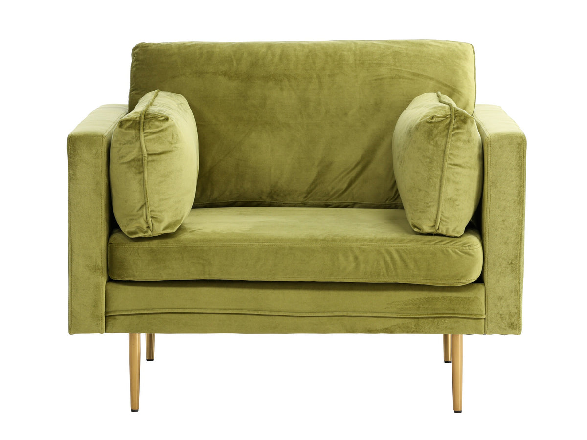 Armchair 209850