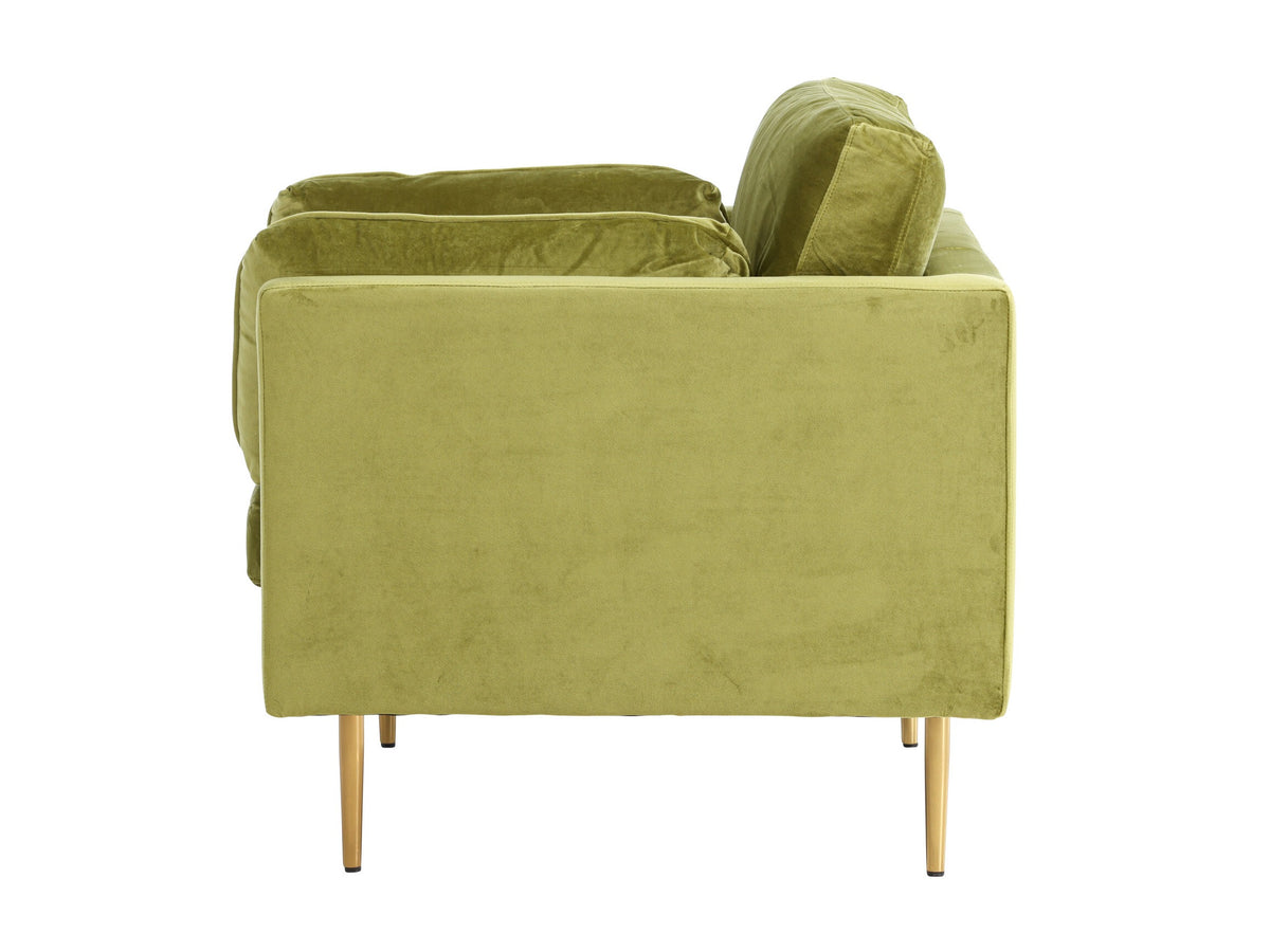 Armchair 209850