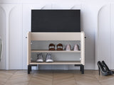 Shoe cabinet 601941