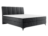 Continental bed 436149