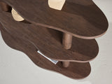 Bookcase 616067