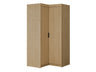 Corner wardrobe 581504