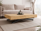 Coffee table transformer 634729