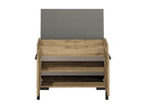 Shoe cabinet 308846