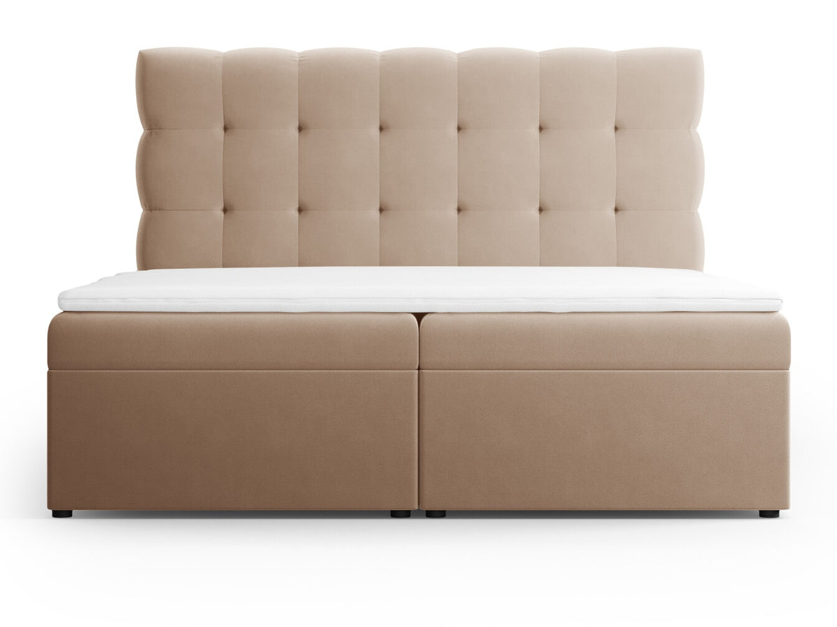 Continental bed 663568
