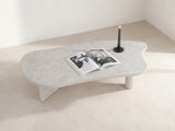Coffee table 675041