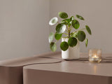 Nest of coffee tables 636932 5033171