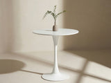 Table 681319
