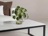 Coffee table 681457