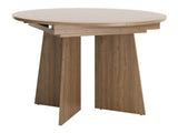 Table 685507