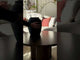 Coffee table 457279