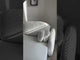 Nest of coffee tables 548942