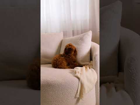 Armchair 510261