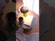 Side table 609405